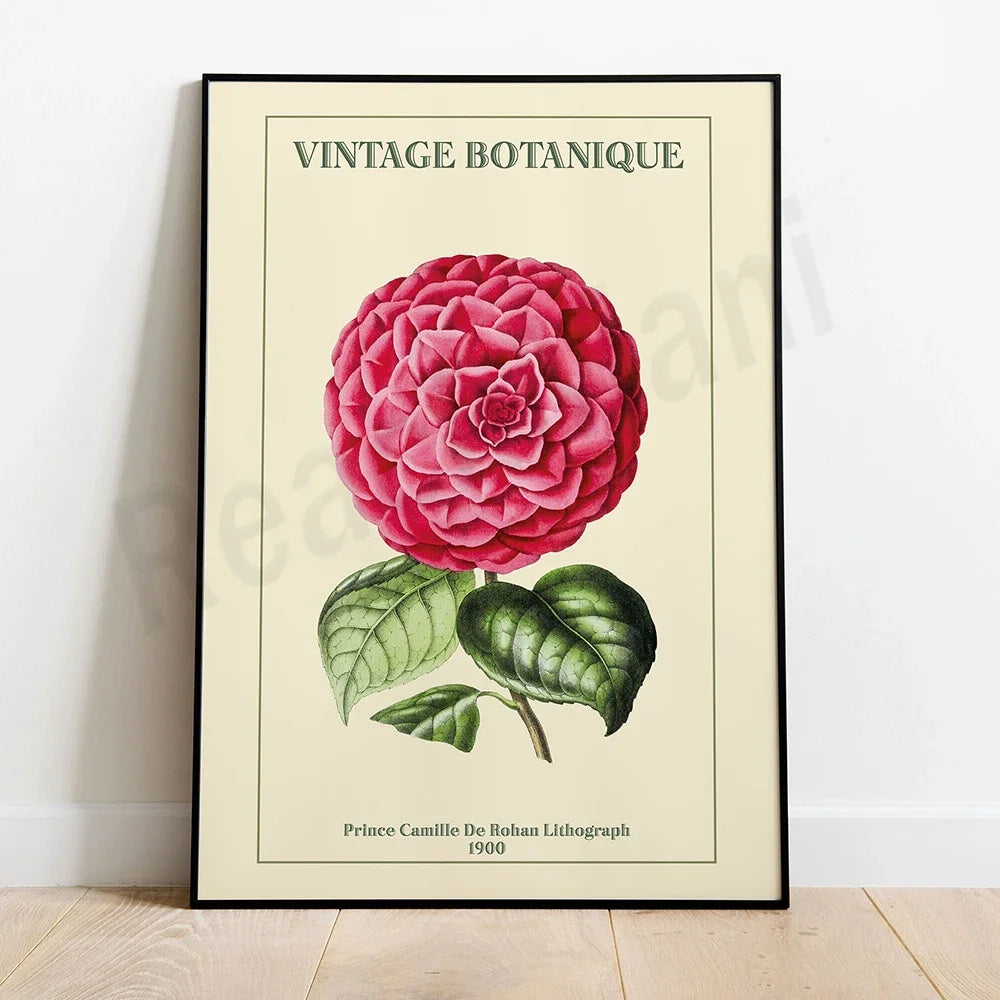 Une belle illustration botanique vintage d'une fleur rose épanouie avec des feuilles vertes.
