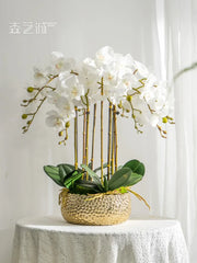 Orchidée papillon artificielle haut de gamme en pot - Décoration intérieure élégante et durable