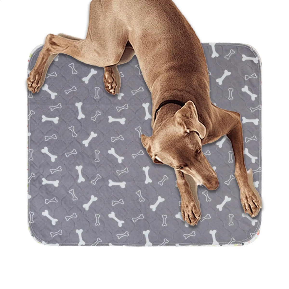 tapis absorbant imperméable antidérapant réutilisable chiens chats jouet soins toilettage maisonextérieur
