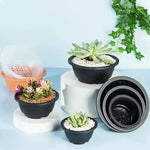 pots fleurs succulentes transparents pots jardin pots minimalistes pots plante pots plastique pots pots