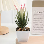 plantes succulentes artificielles vert rouge marron moderne minimaliste intérieur décoration maison