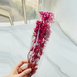 bouquets fleurs séchées multicolores decoration maison anniversaire mariage festive naturelle rustique