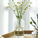 vases transparents modernes rayures verticales poignée métallique décoration intérieure table centrale pièces