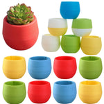 pots fleurs succulentes drainants couleur aléatoire rayures modernes transparents petite plante jardinière echangable