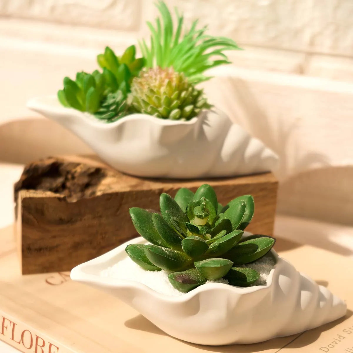 moulage silicone conque bougie pot plante sable coquille étoile mer transparent vert bleu blanc