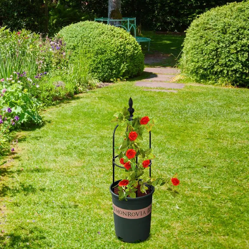 support plante grimpante noir structure métallique cercles horizontaux classiqueextérieurintérieur floral decoration