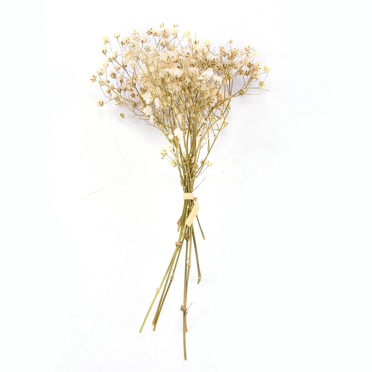 bouquets fleurs séchées violet blanc jaune orange bleu rose minimaliste intérieur décoration maison anniversaire