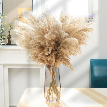 bouquet pampas séchées naturelles décoration maison anniversaire baby shower graduation rustic styleintérieur festive