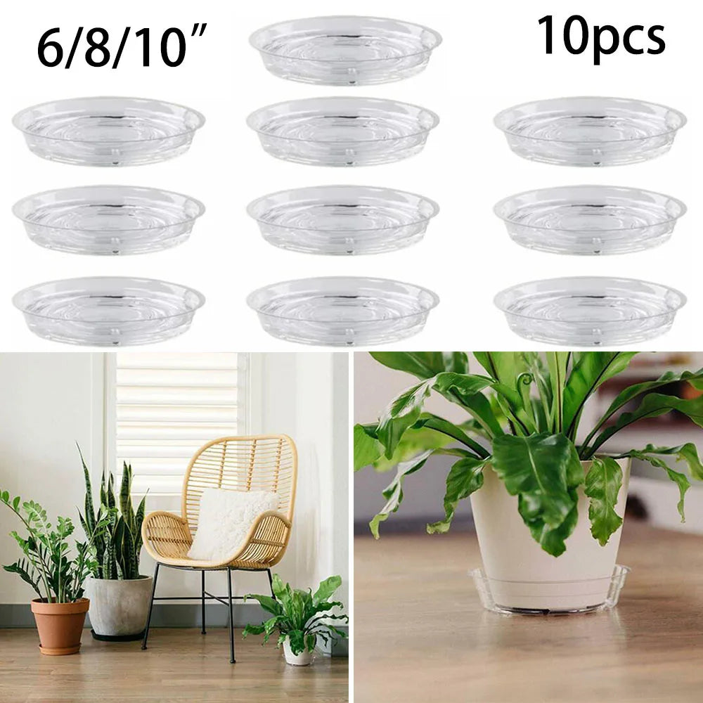 plateau plante transparent moderne adhésif intérieur pot fleur drainage'eau recyclable