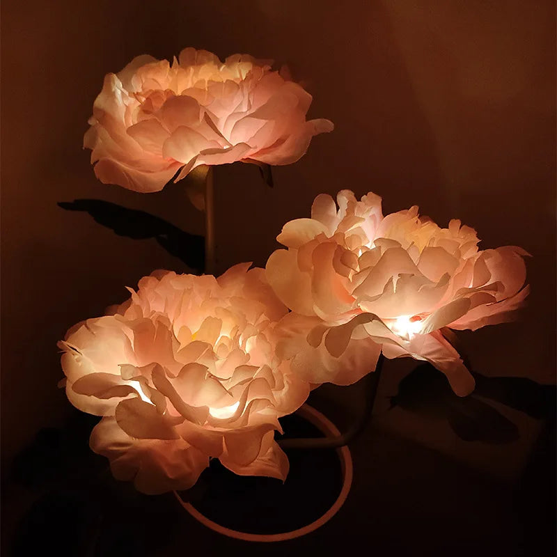 lumière solaire forme rose blanche rouge jaune feuillage vert extérieure moderne