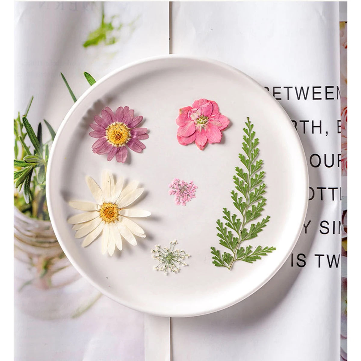fleurs séchées plantes écologiques intérieur anniversaire baby shower exposition minimalistes cartes postales ornementales fixations