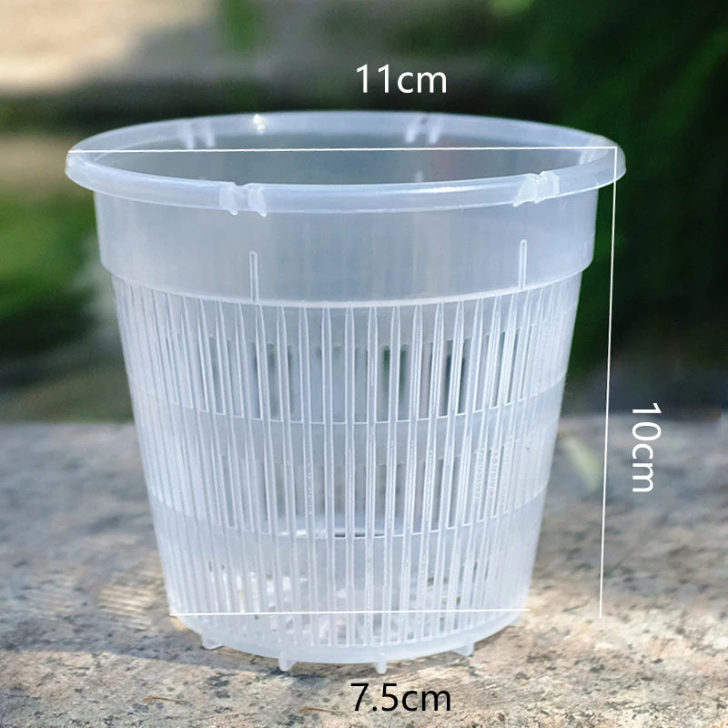 pots plantes plastique blanc translucide grille ajourée minimaliste fleur intérieur phalaenopsis orchidée mousse contrôle