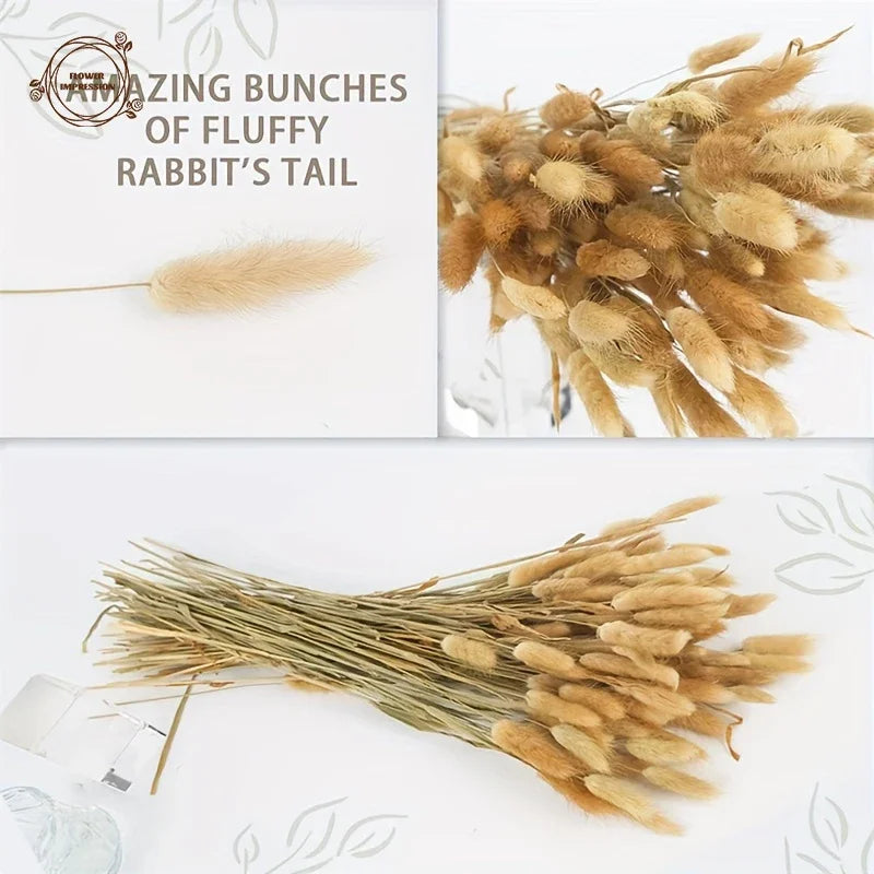 décoration intérieure bouquet plumes séchées rose pâle naturel rustique anniversaire baby shower chambre