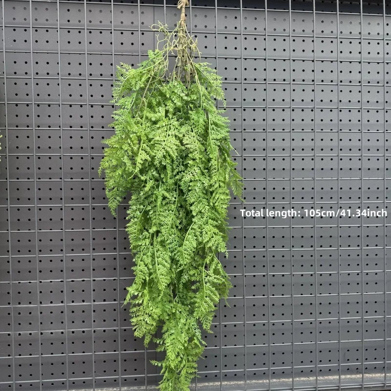 plantes suspendues vigne feuilles vertes rustiques extérieures accrochées naturellement exposéesextérieur decoration