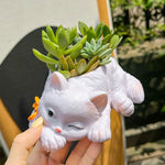chat mignon pot succulentes plante verte deco maison balcon salon dessin animé
