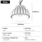 Lampe industrielle moderne LED haute luminosité blanc chaîne fixée robuste économe énergie