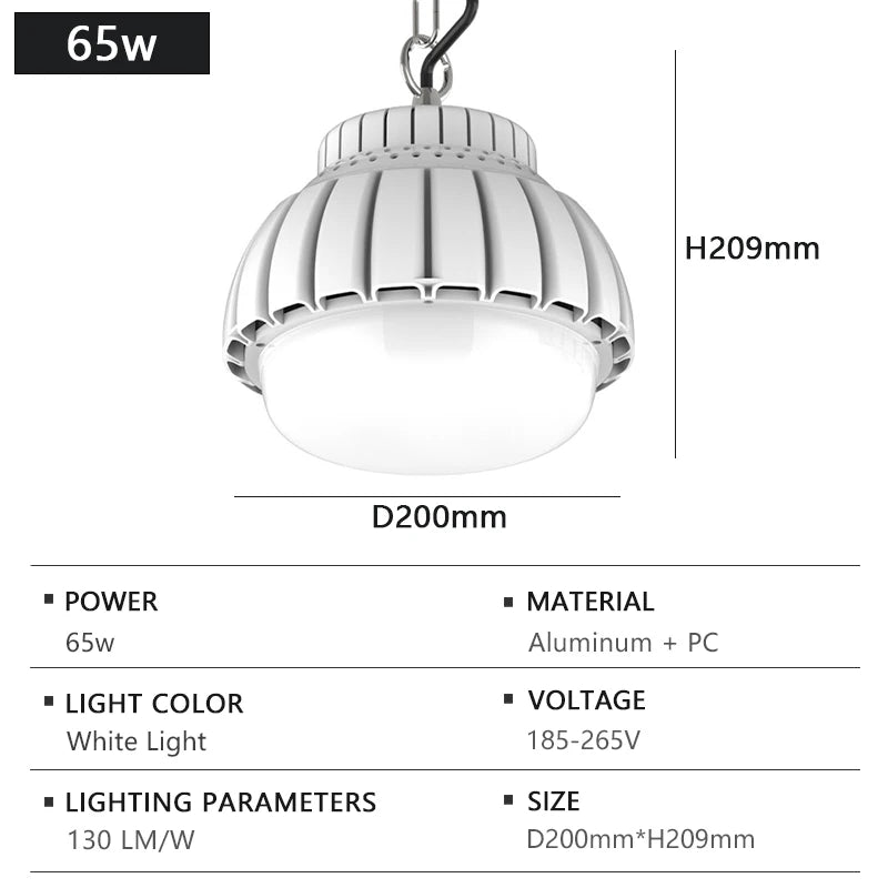 Lampe industrielle moderne LED haute luminosité blanc chaîne fixée robuste économe énergie