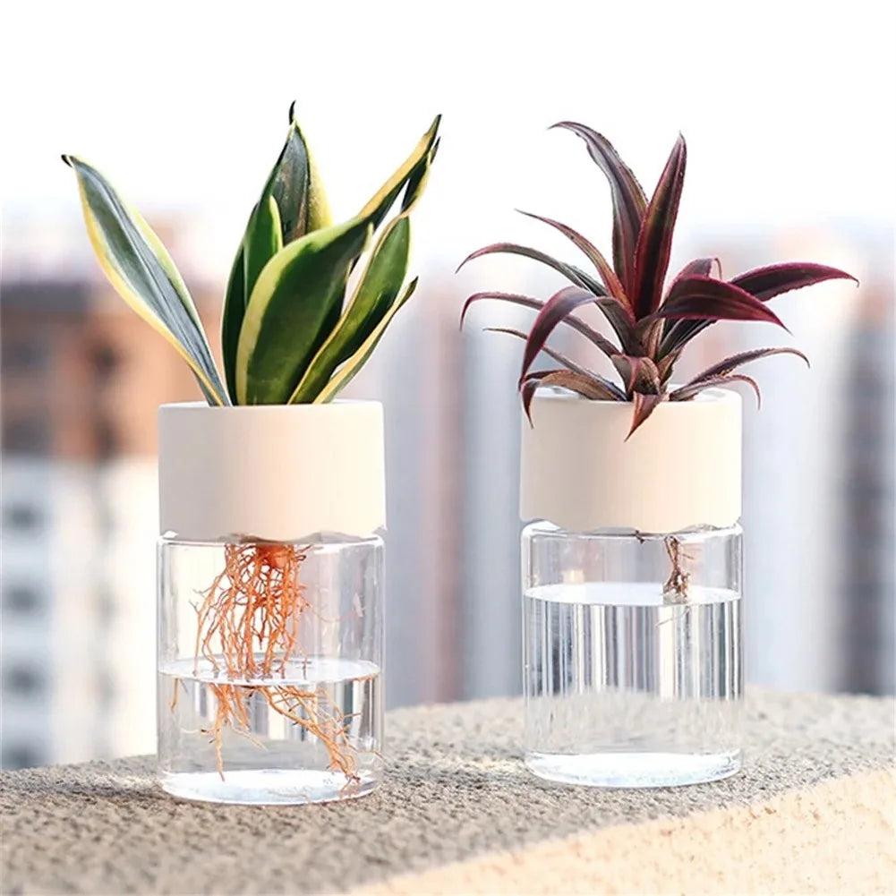 pots hydroponiques blancs transparents modernes minimalistes plantes vertes decoration interieur nature sophistication