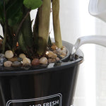 bacs pépinière plastique moderne pot d'eau auto arrosage plante verteintérieur designhydroponique