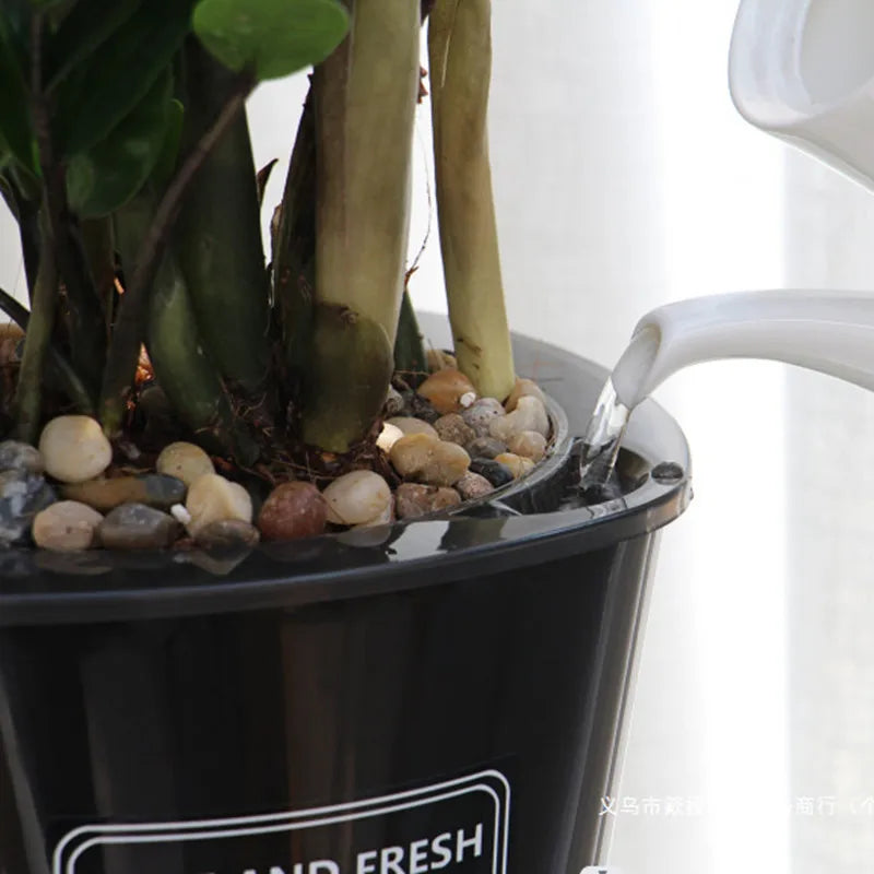 bacs pépinière plastique moderne pot d'eau auto arrosage plante verteintérieur designhydroponique