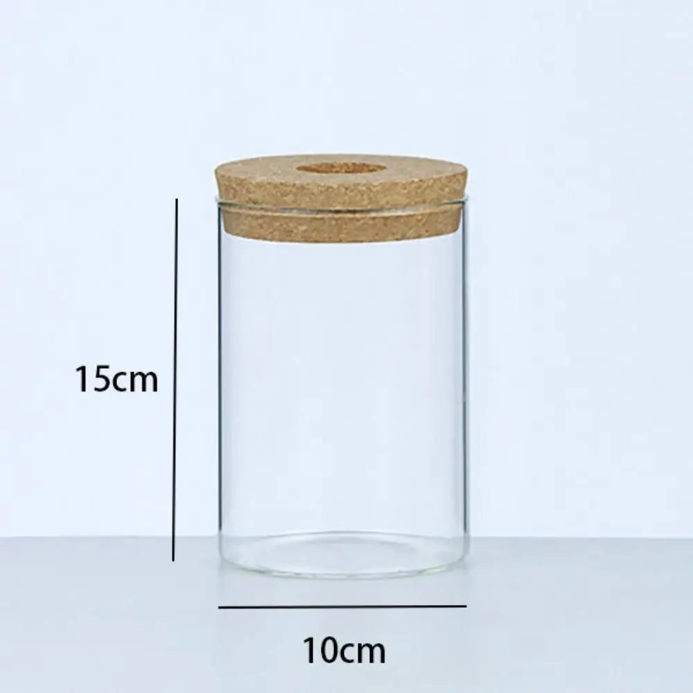 vase verre transparent moderne plante verte minimaliste bois naturel rond simple