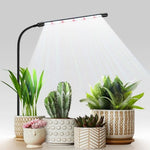 lampe led croissance plante spectre complet 6000k adhésif moderne câble usb commande distance