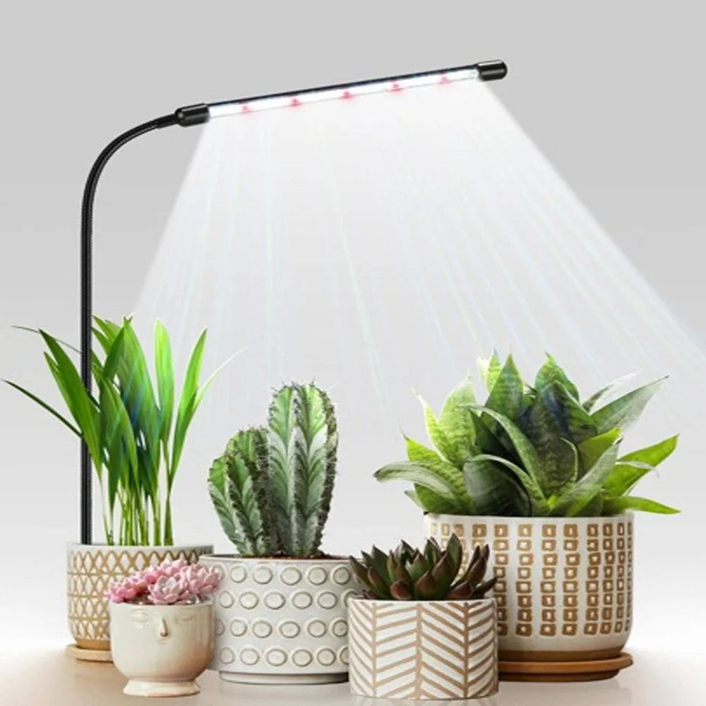 lampe led croissance plante spectre complet 6000k adhésif moderne câble usb commande distance