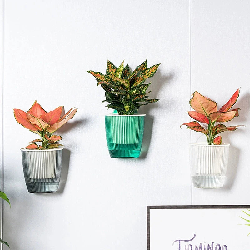 pots fleurs muraux modernes semi transparents couleurs vives motif riblé fixations murales plante décoration