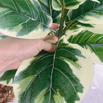 plante artificielle branche ficus verte moderne extérieur intérieur décoration maison jardin exposition sol