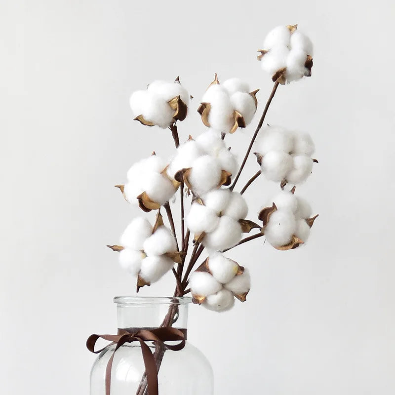 bouquet coton blanc naturel boules tiges brunes décoration intérieure artificielle noël bricolage