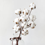 bouquet coton blanc naturel boules tiges brunes décoration intérieure artificielle noël bricolage