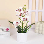 décoration intérieure orchidées artificielles pots blancs fleurs simples feuilles vertes moderne