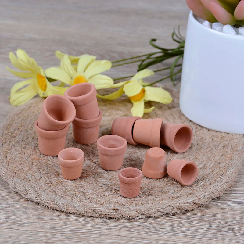 pots miniature terre cuite différents tailles fleurs jaunes plante grasse rustic