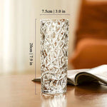 vases transparents modernes plastique inébranlables grandes tailles fleurs artificielles hydroponie