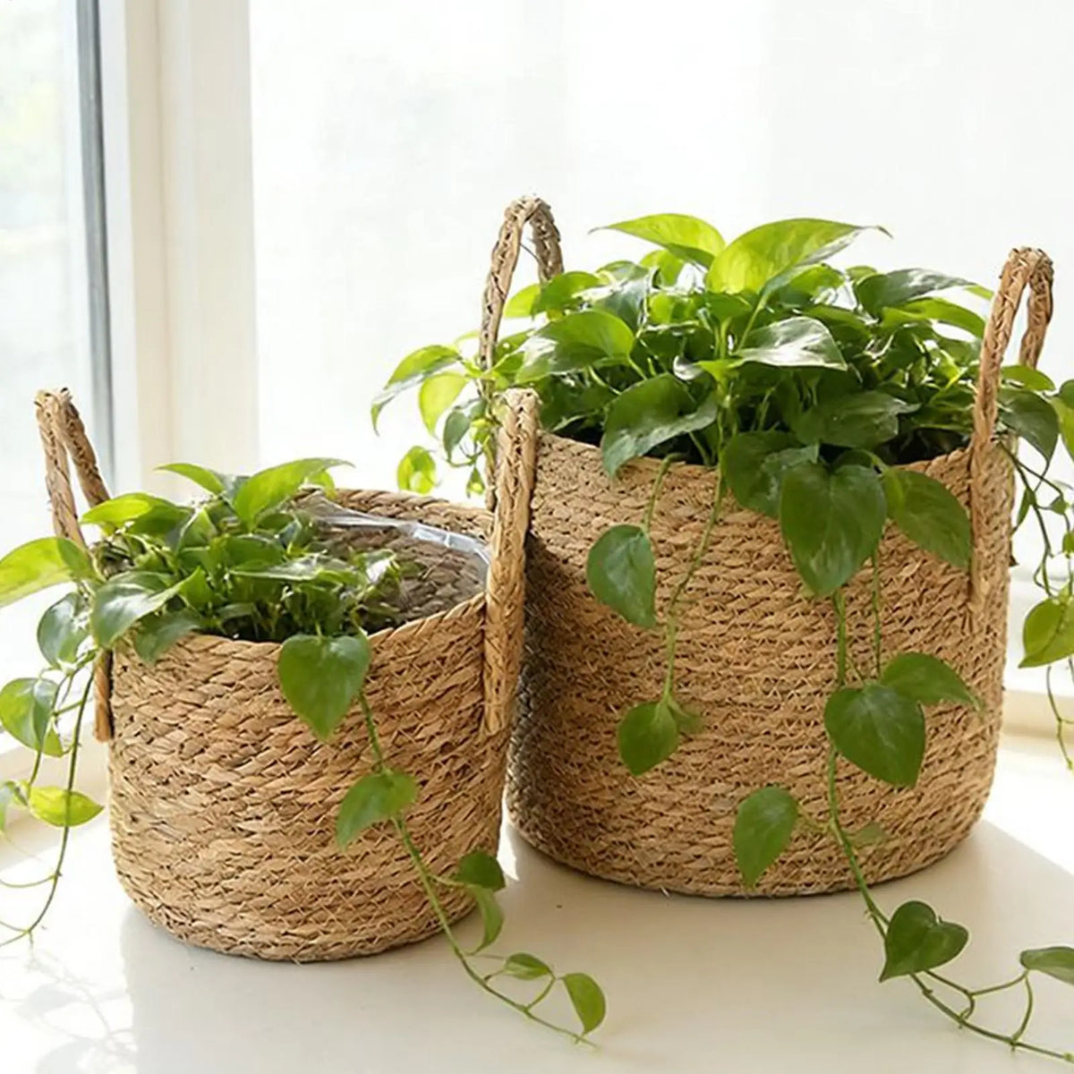 paniers plantes naturels rustiques boho chic poignées corde intérieur extérieur balcon jardin