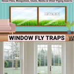 pièges mouches adhésifs fruits blanc guide utilisation pièces insectes fenêtres maison jardin simples