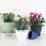 pot fleurs plastique plateau rayures verticales moderne plante intérieur