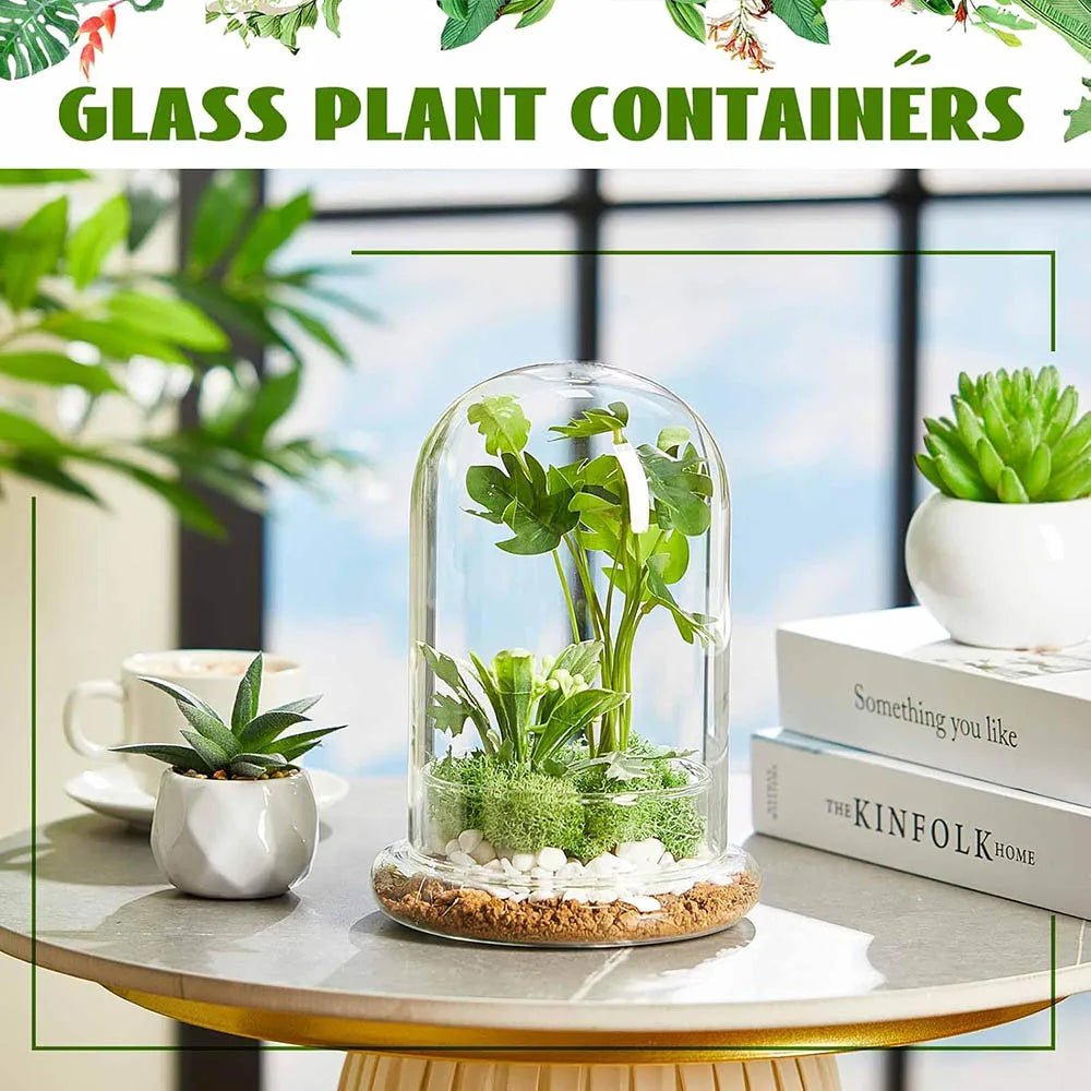 terrarium moderne transparent verre base vase plantes maison cloche