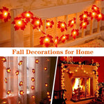 guirlande lumineuse feuilles érable 10 20 40 led usb batterie decoration automate festive exterieure