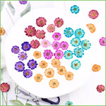 fleurs séchées marguerite camomille rose bleu orange violet décoration maison anniversaire baby shower