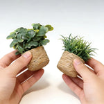 décoration intérieure pot plante artificielle miniature feuilles vert texturées pot tressé rustique