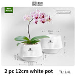 pots orchidées blancs moderne ventilation aération plateaux intérieurs extérieurs