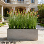 plantes artificielles herbe roseaux oignon fleurs vert clair moderne intérieur décoration expos anniversaire