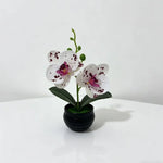 Orchidée artificielle taches violets feuilles vertes pot noir décoration intérieure moderne chambre salon
