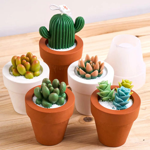 décoration intérieure cactus artificiels pot terre cuite cordelette divers couleurs vert rose bleu jaune