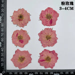fleurs séchées naturelles rouge jaune blanc rose décoration maison intérieure bricolage scrapbooking abat jour