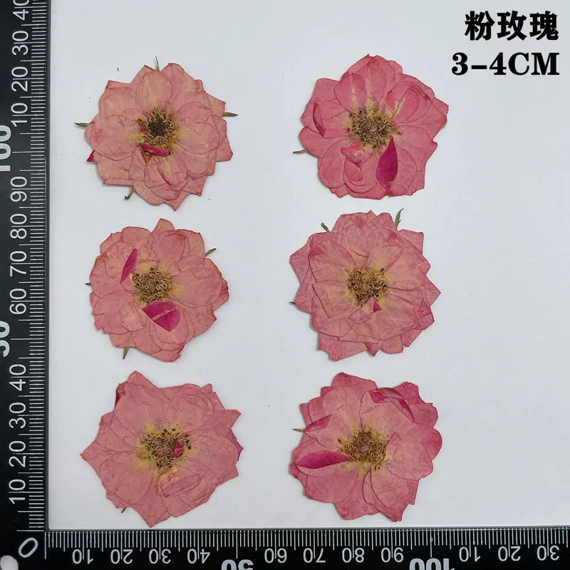 fleurs séchées naturelles rouge jaune blanc rose décoration maison intérieure bricolage scrapbooking abat jour