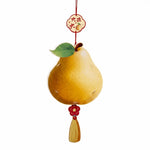 lanternes décoratives fleurs fruits corde rose vert rouge transparent traditionnel anniversaire noël mariage