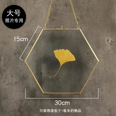 cadre photo moderne or transparent hexagonal chaîne collection monnaies photos spécimens