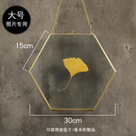 cadre photo moderne or transparent hexagonal chaîne collection monnaies photos spécimens